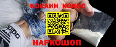 молекула духа Кингисепп