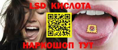 молекула духа Кингисепп
