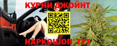 молекула духа Кингисепп