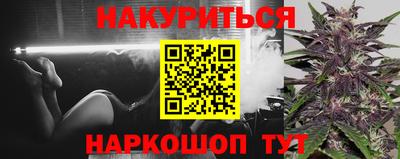молекула духа Кингисепп