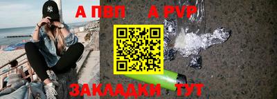 молекула духа Кингисепп