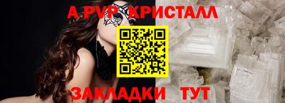 молекула духа Кингисепп